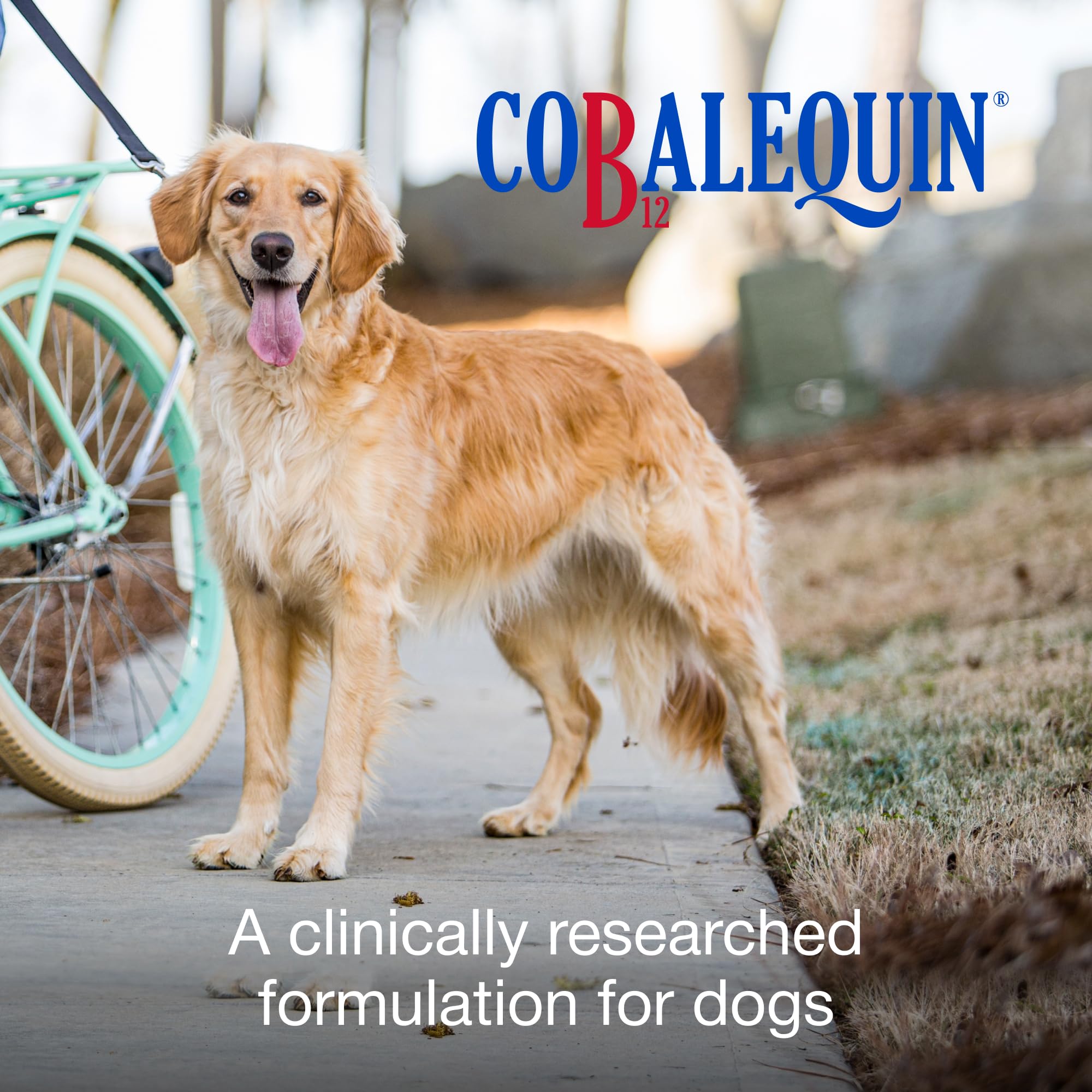 Cobalequin B12 bottle with labeled tablets for dogs.