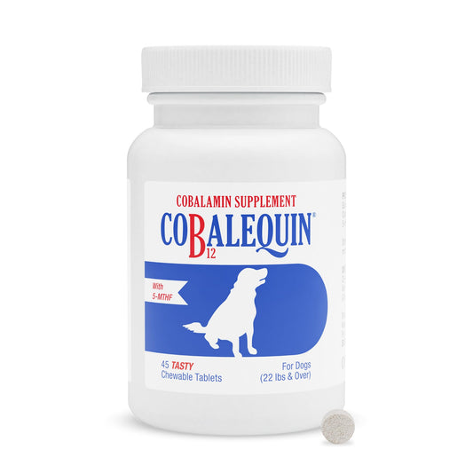 Nutramax Cobalequin B12 chewable tablets for dogs, easy administration.