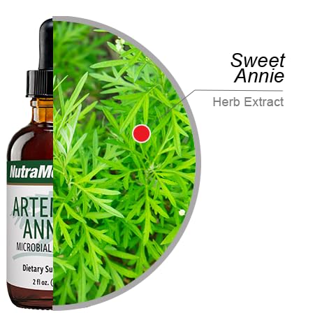 NutraMedix Artemisia Annua packaging front highlights herbal origin and tradition