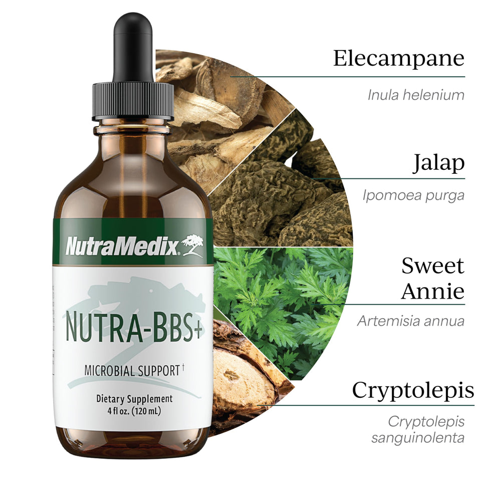 NutraMedix Nutra-BBS+ Elecampane and Artemisia illustration highlights botanicals.