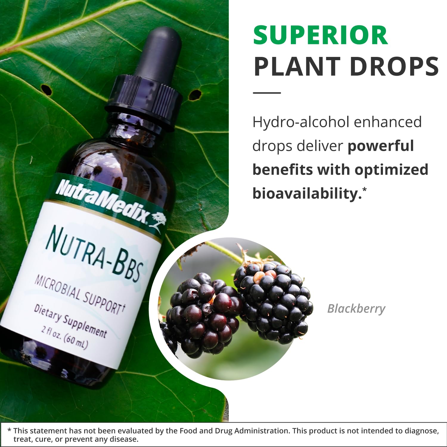 NutraMedix Nutra BBS blackberry leaves close-up suitable for immune health.