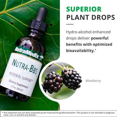 NutraMedix Nutra BBS blackberry leaves close-up suitable for immune health.
