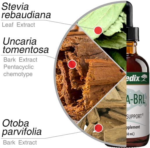 Nutramedix Nutra BRL immunity concept visual for daily support ideas