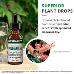 NutraMedix Palo Santo extract visual hints at nature-based wellness