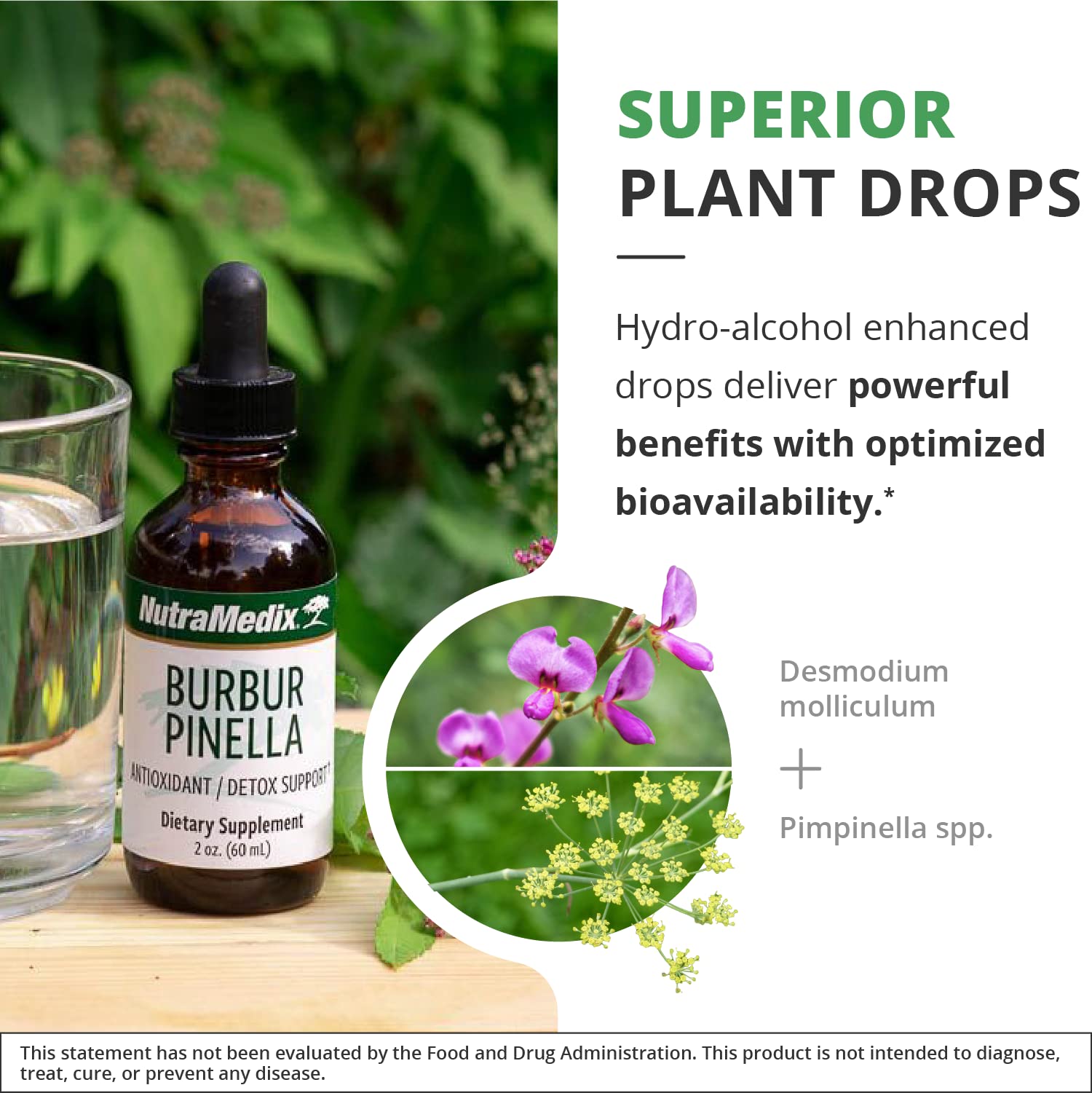 NutraMedix Pimpinella spp image featuring the anise plant used in formula.