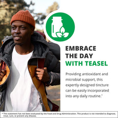 NutraMedix Teasal plant shot showcases natural botanicals for wellness-inspired routines.