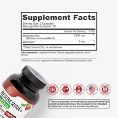 Nutreb Berberine Bioperine visualization suggests enhanced absorption.