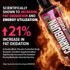 Nutrex Carniburn label closeup highlighting ingredients and benefits.