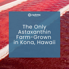 Nutrex Hawaii BioAstin Hawaiian ponds cultivation under sun