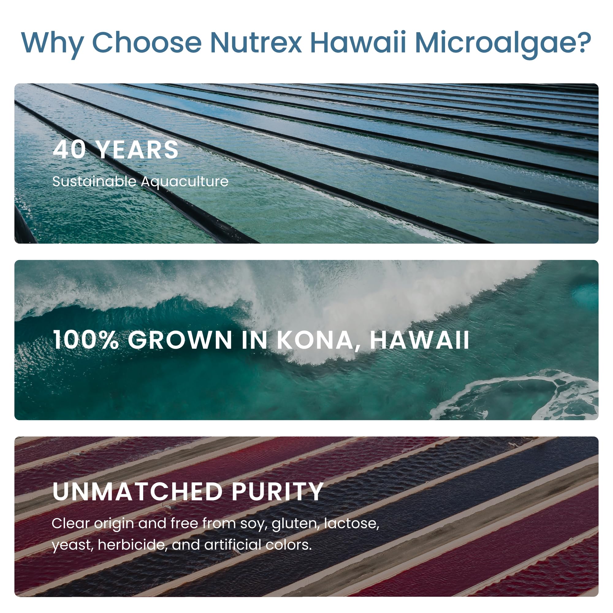 Nutrex Hawaii Spirulina powder in shake for simple daily addition