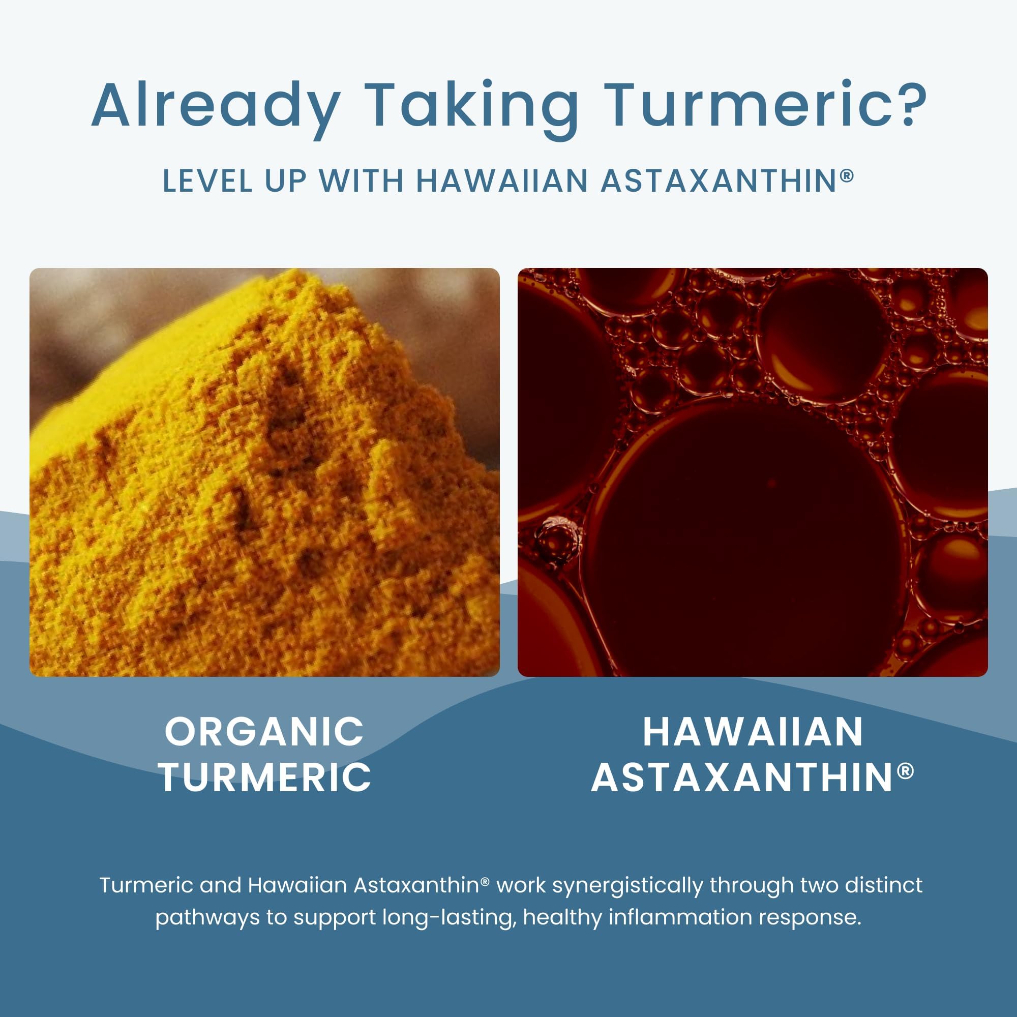 BioPerine boost visual emphasizes enhanced absorption and bioavailability