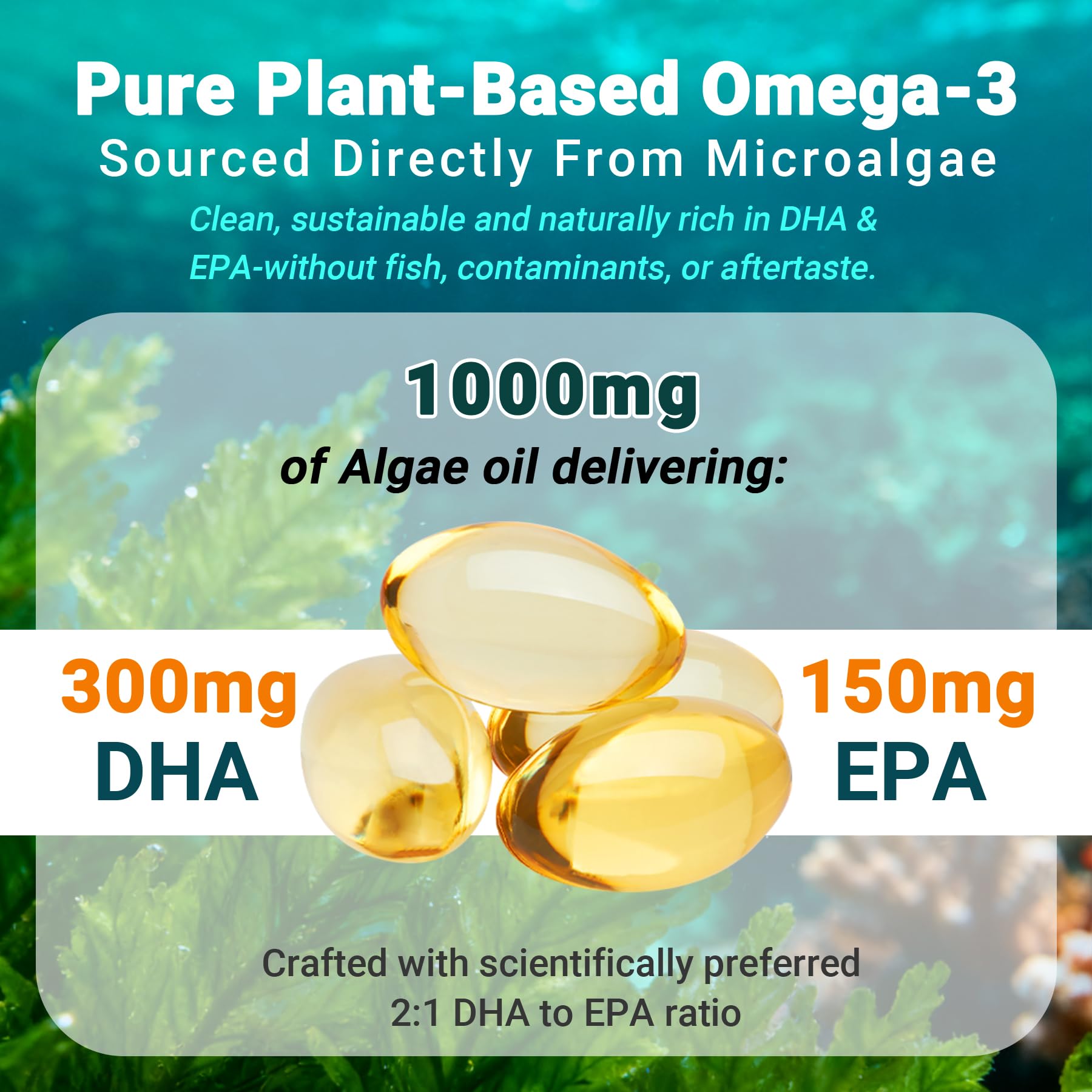 D3 and K2 notes on Nutribota softgels bottle showing nutrient synergy and immune support.