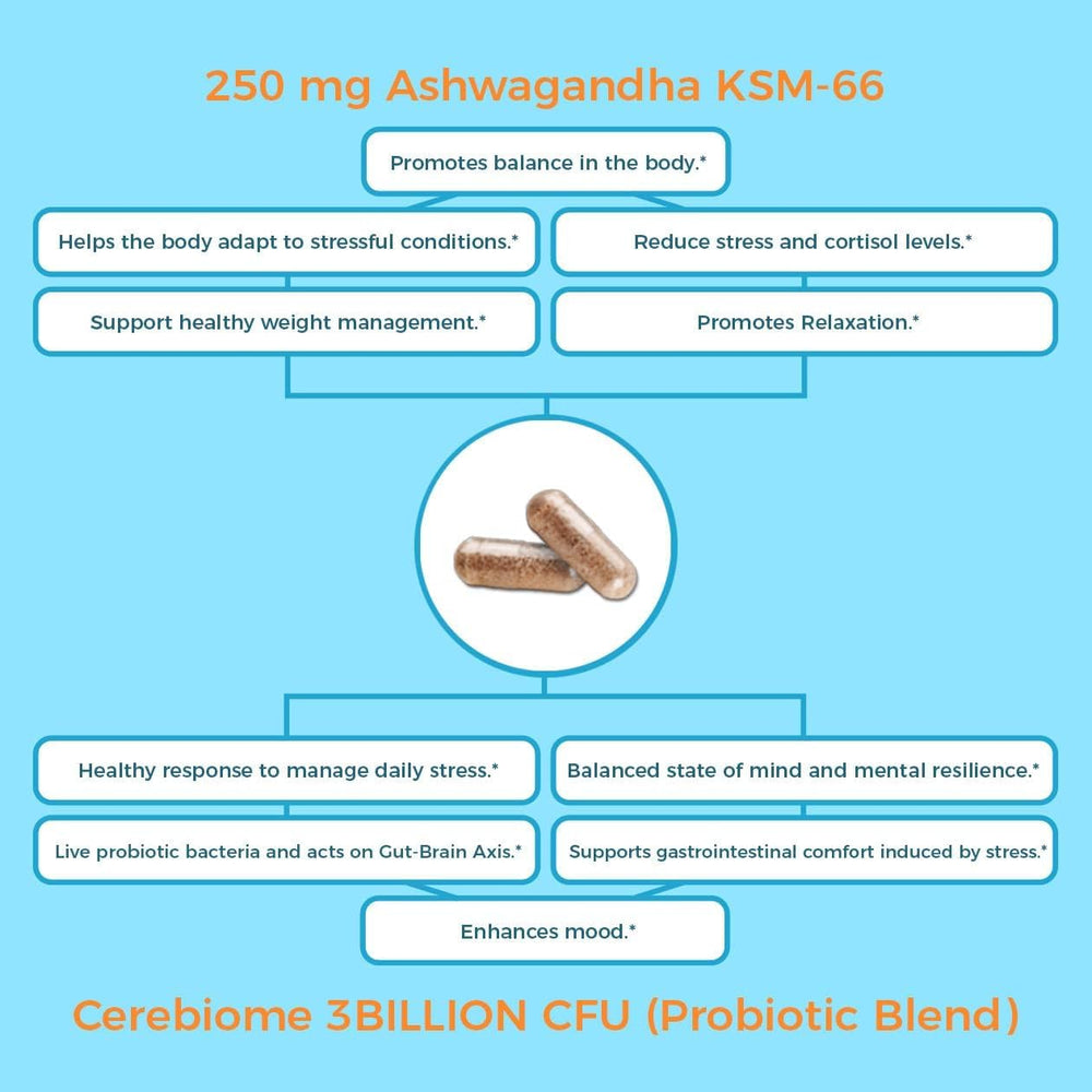 Nutricelebrity Cerebiome probiotic blend promoting gut comfort.