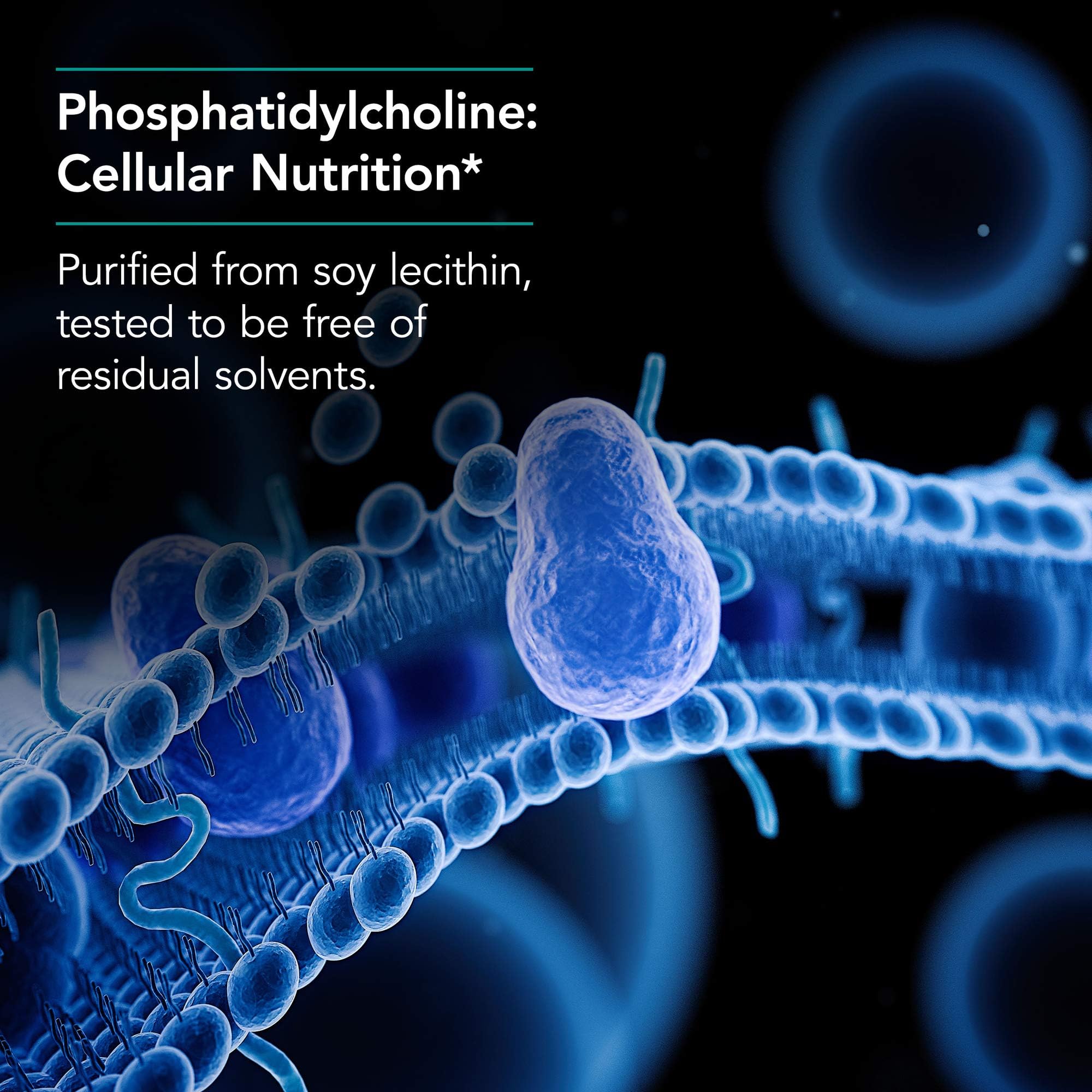 Pouring Nutricology phosphatidylcholine softgels demonstrates convenient daily use.