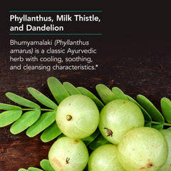 Nutricology Phyllantus Complex tablets ready for daily use.