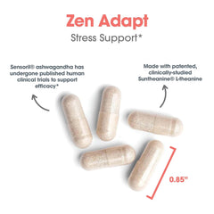 Nutricology Zen Adapt Suntheanine L-Theanine visible for focused relaxation during long days