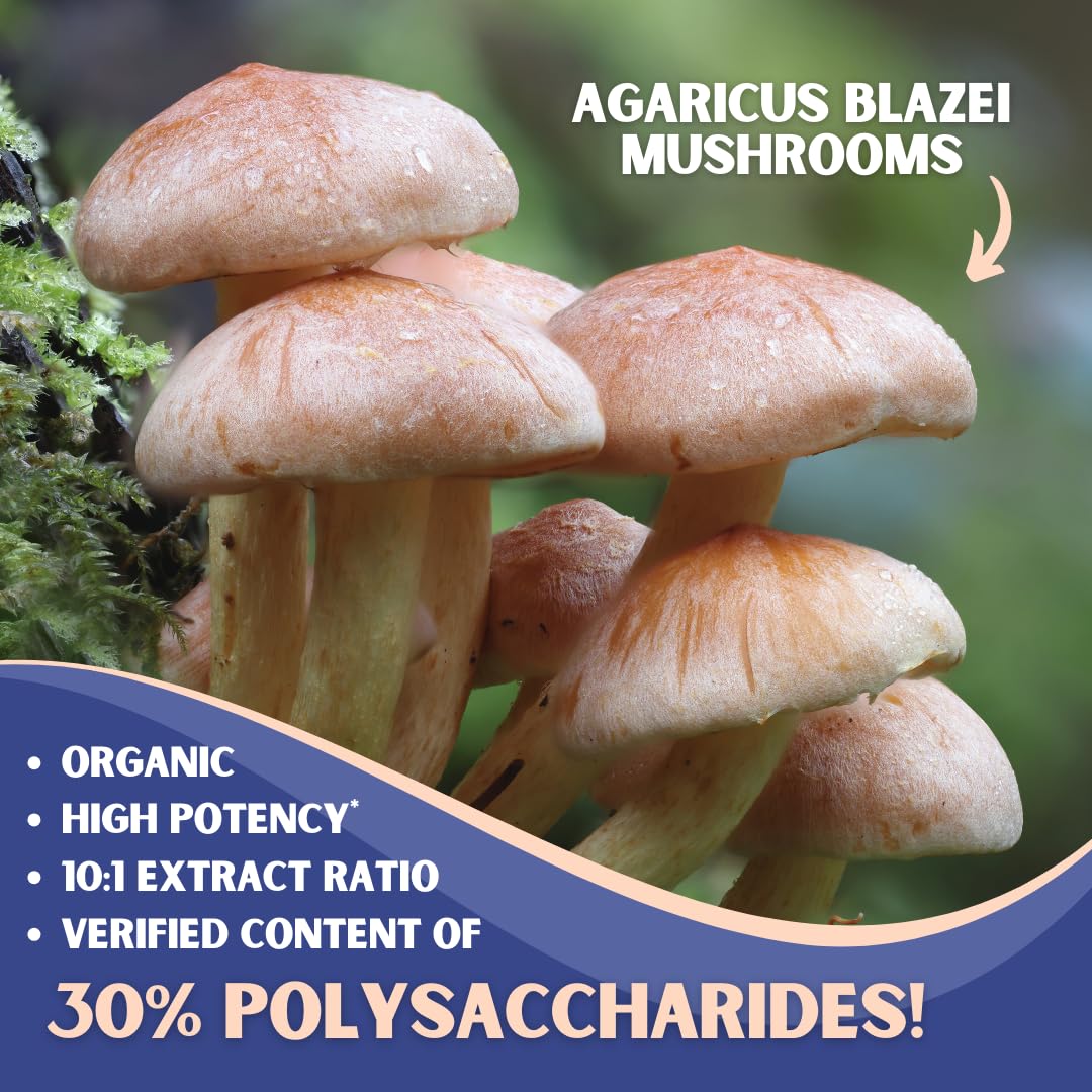 Nutriheim Agaricus Blazei 10-to-1 extract label emphasizes potency and polysaccharides