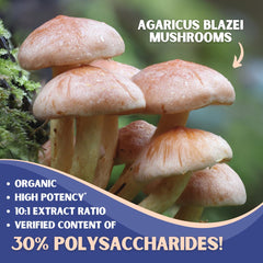 Nutriheim Agaricus Blazei 10-to-1 extract label emphasizes potency and polysaccharides