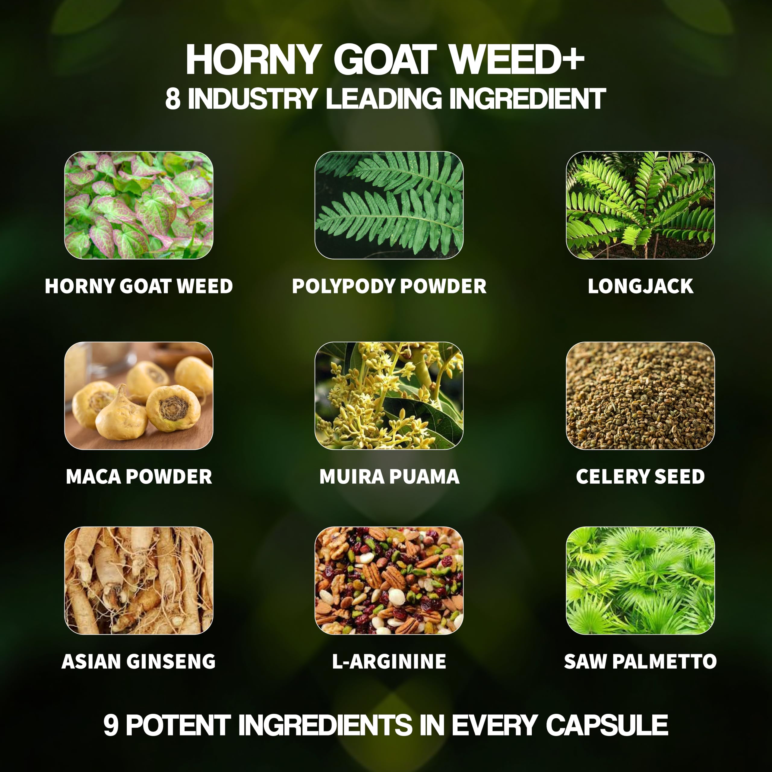 Nutrimend IQ Male Boost Ultra front label featuring vitality benefits.