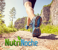 32-ounce NutriNoche bottle ready for daily wellness routine