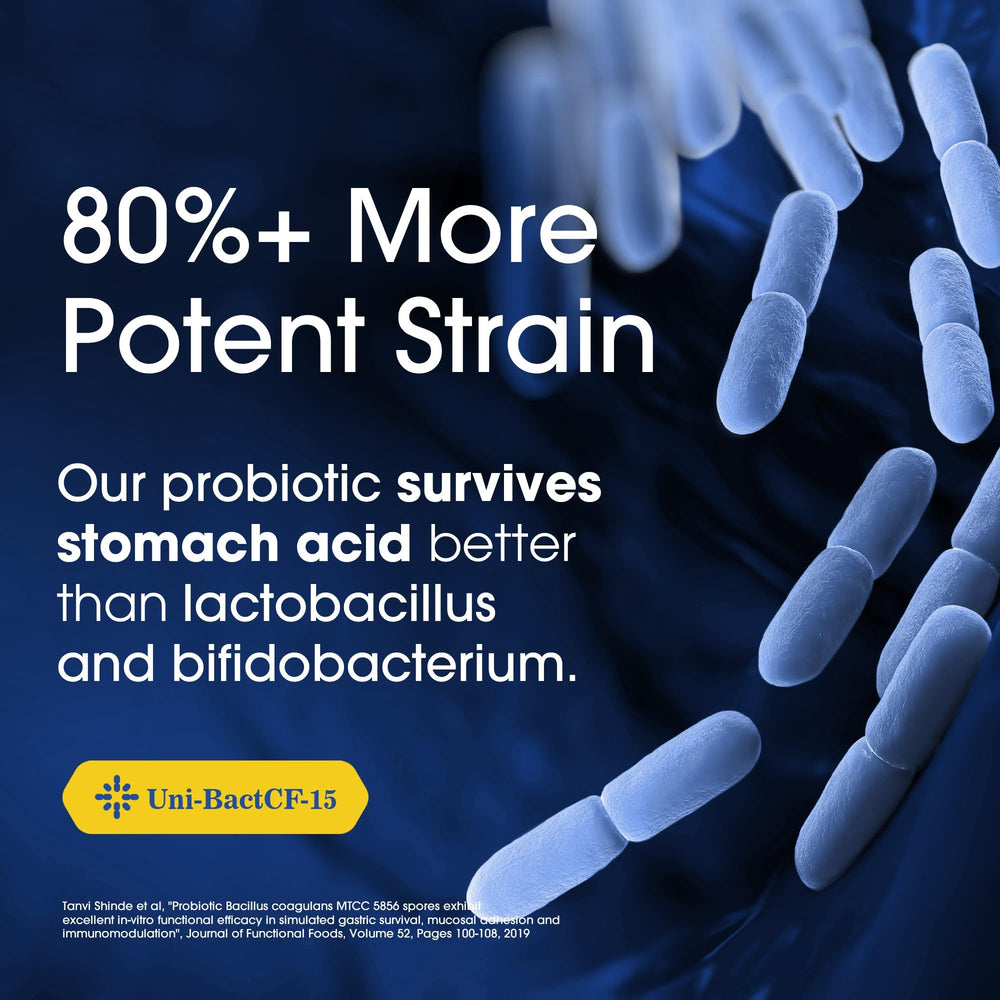 Nutrition Essentials fiber prebiotic Nutri-Fracto B-88 in the formula for gut friendliness