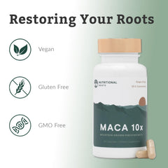 Nutritional Roots gelatinized maca capsules close-up designed for smoother absorption.