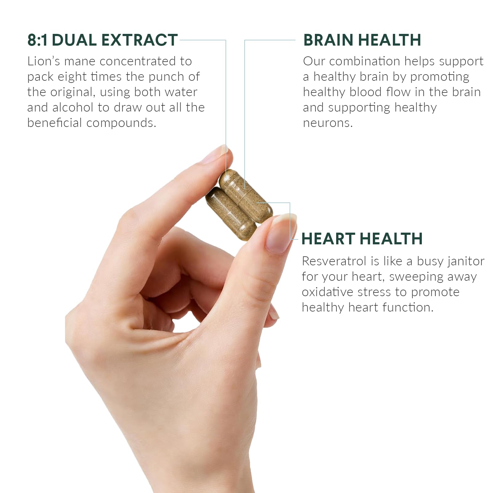 Nutritional Roots label highlighting Lion’s Mane and Resveratrol ingredients.