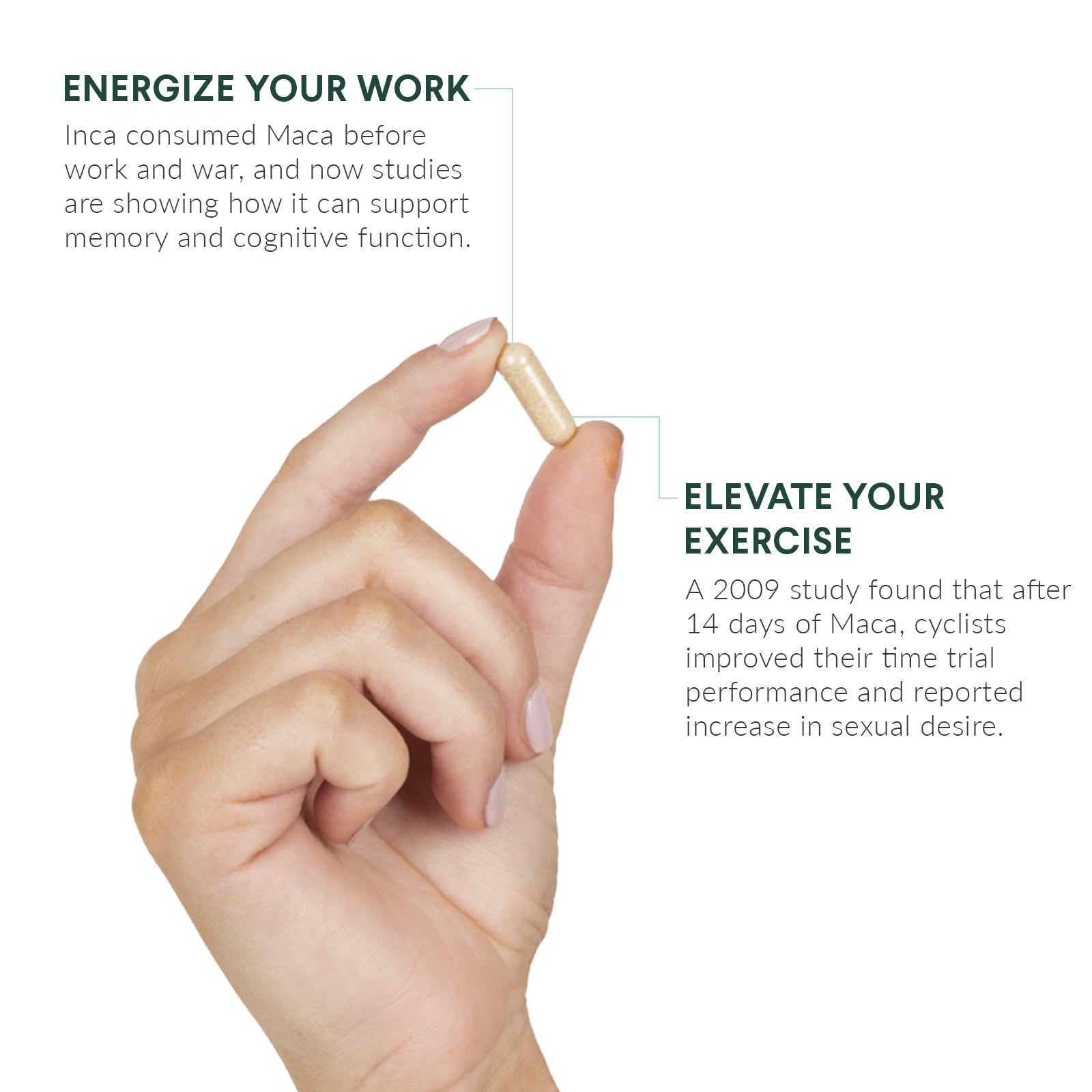 Nutritional Roots 10x concentration maca capsules close-up for potent, convenient daily dosing.