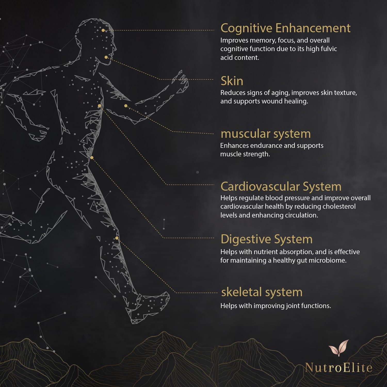 NutroElite shilajit elixir dissolve in warm beverages for convenient daily use.