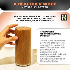 Nutrology Tripact spirulina greens boost energy and nutrition.