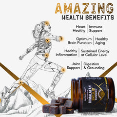 NutroTonic Shilajit Gummies label detail highlighting organic ingredients.