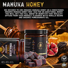 NutroTonic Shilajit Gummies ingredients scene emphasizing purity.