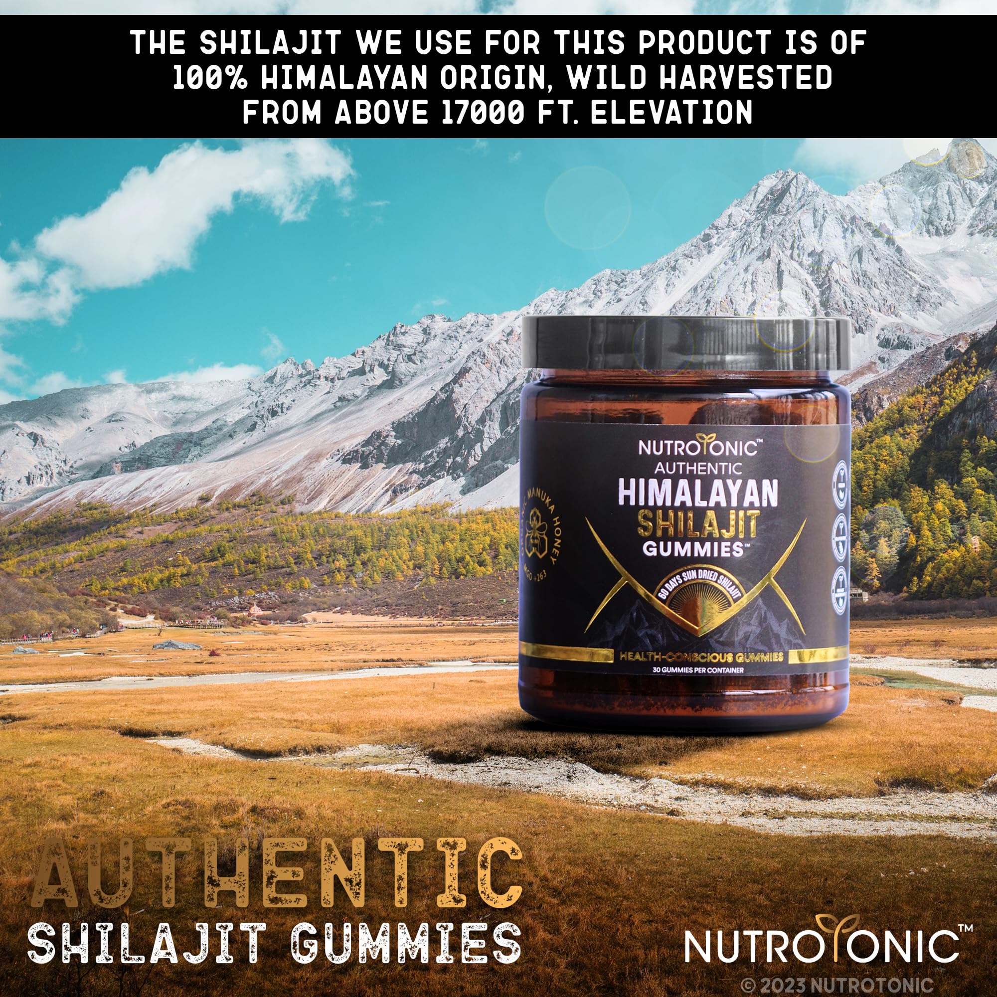 NutroTonic Shilajit Gummies on-the-go snack ready to enjoy.