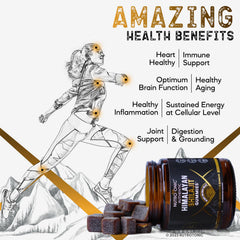 NutroTonic Shilajit gummies bottle showcases Made in USA and quality testing.