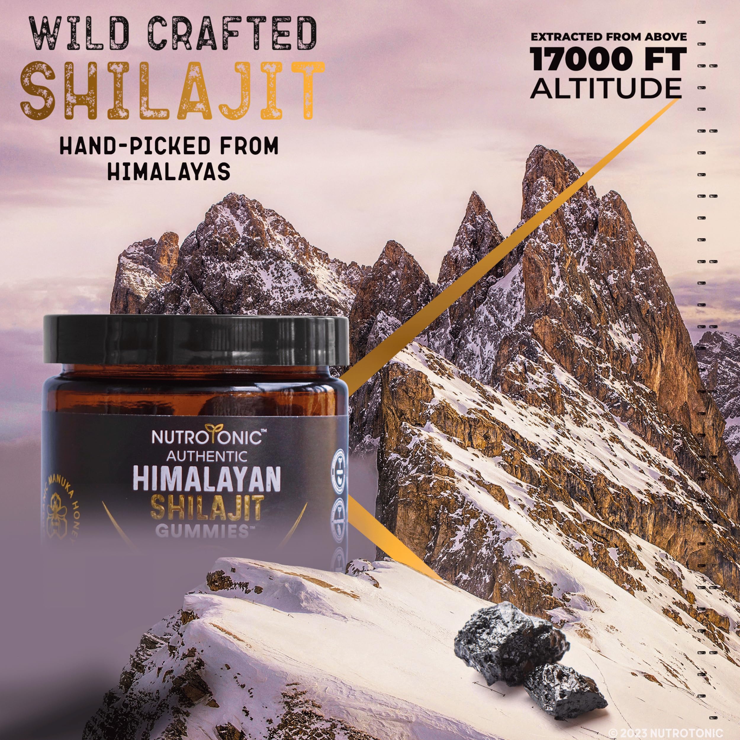 NutroTonic Shilajit Gummies vegan-friendly label indicating plant-based formulation.