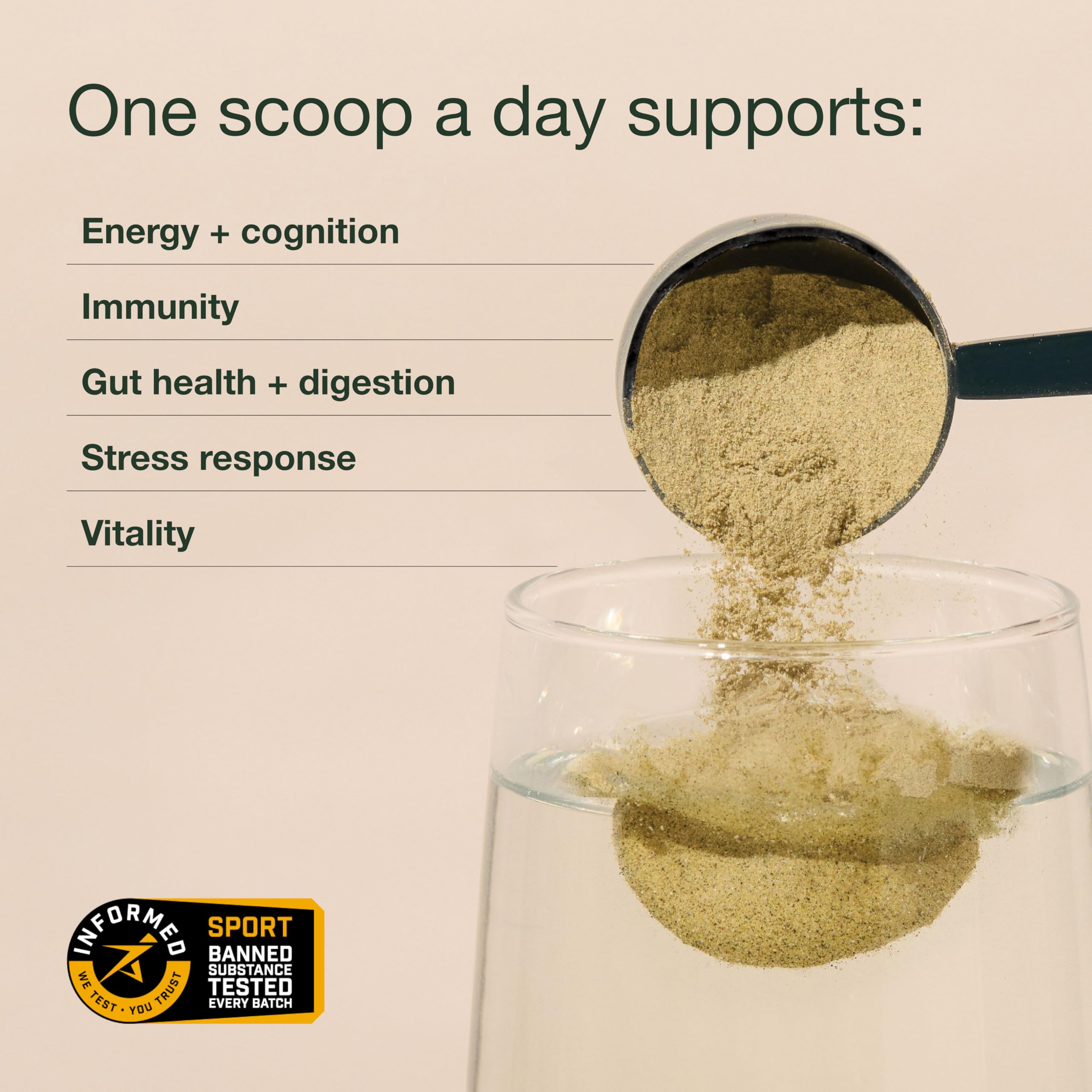 Nuzest greens powder in smoothie mixer shows versatile use in smoothies