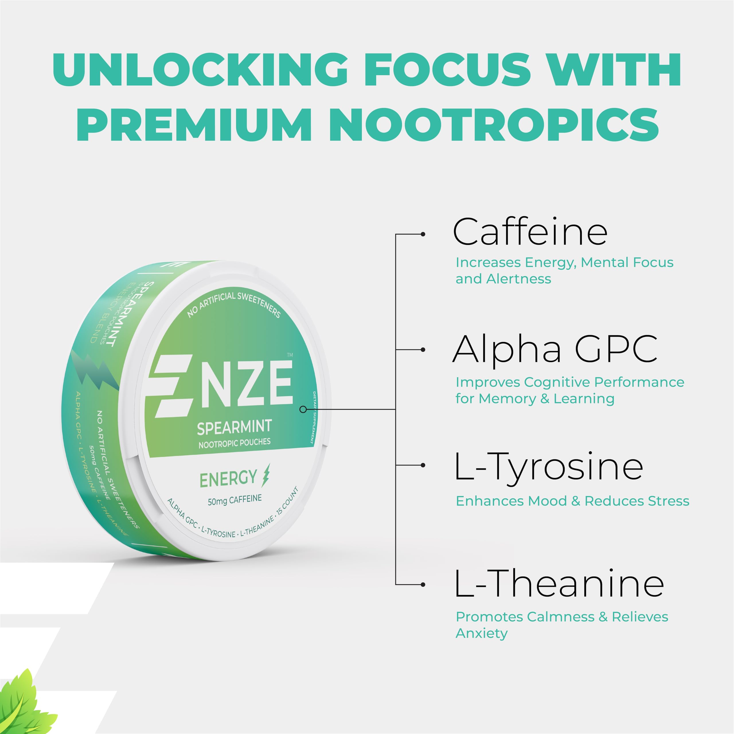 NZE Spearmint pouch front pack view shows refreshing flavor.
