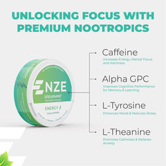 NZE Spearmint pouch front pack view shows refreshing flavor.