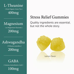 OASIS FORCE L-Theanine Gummies packaging—eco-friendly recyclable outer pack.