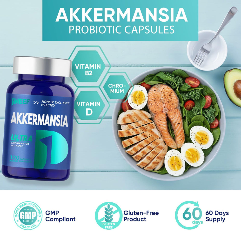 Obnobm Akkermansia tub with 120 capsules ready for everyday use.