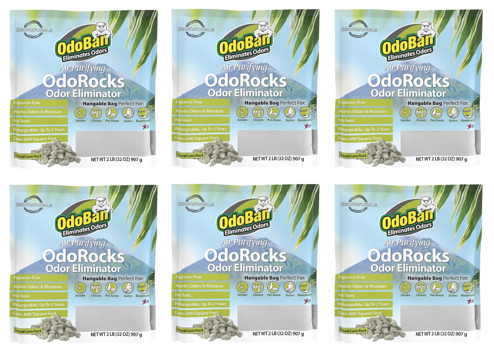 OdoBan OdoRocks bag front view showing natural odor absorption for homes.