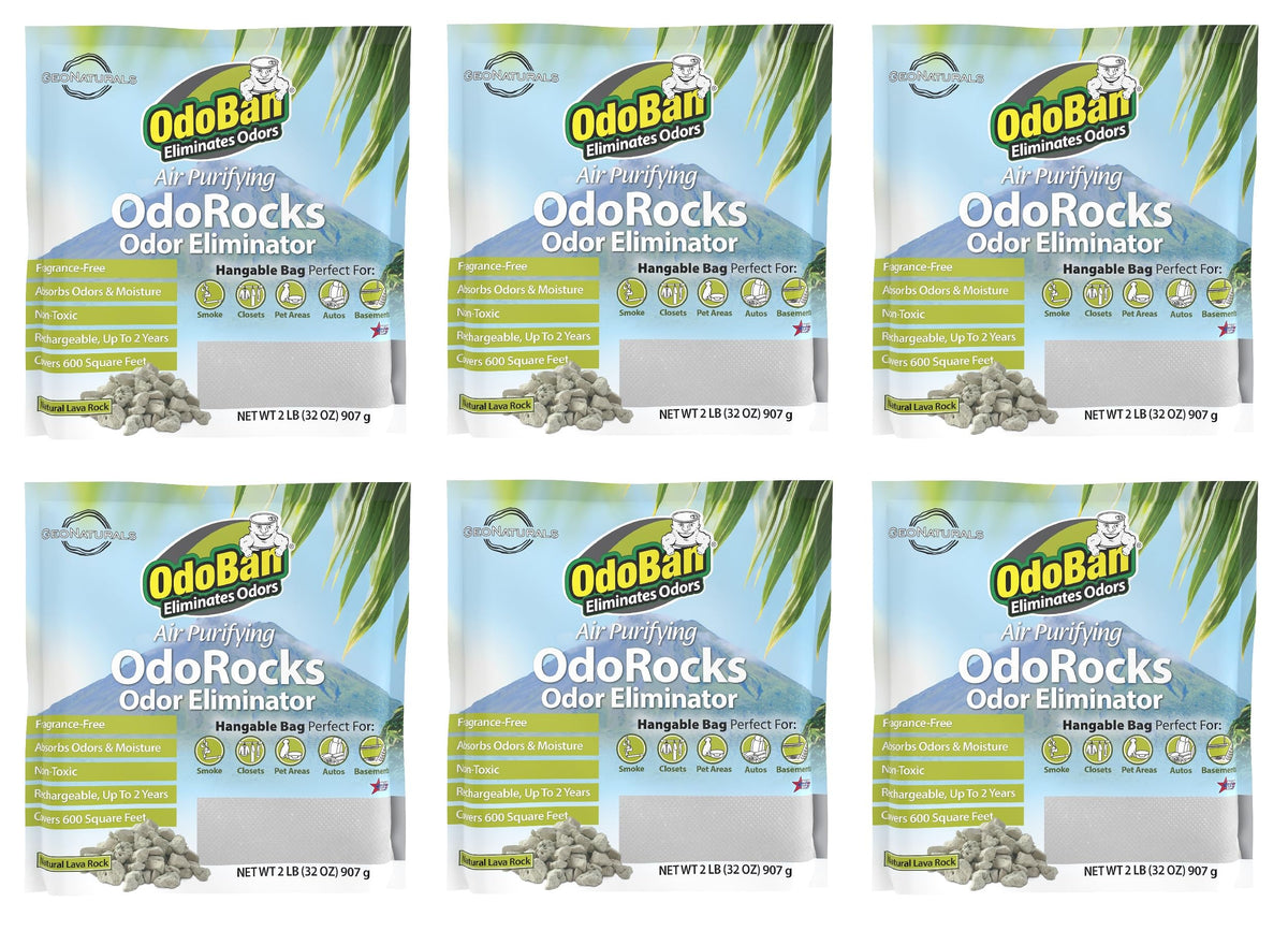 OdoBan OdoRocks bag front view showing natural odor absorption for homes.