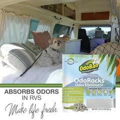 OdoBan OdoRocks placed near pet area showing odor management without fragrance.