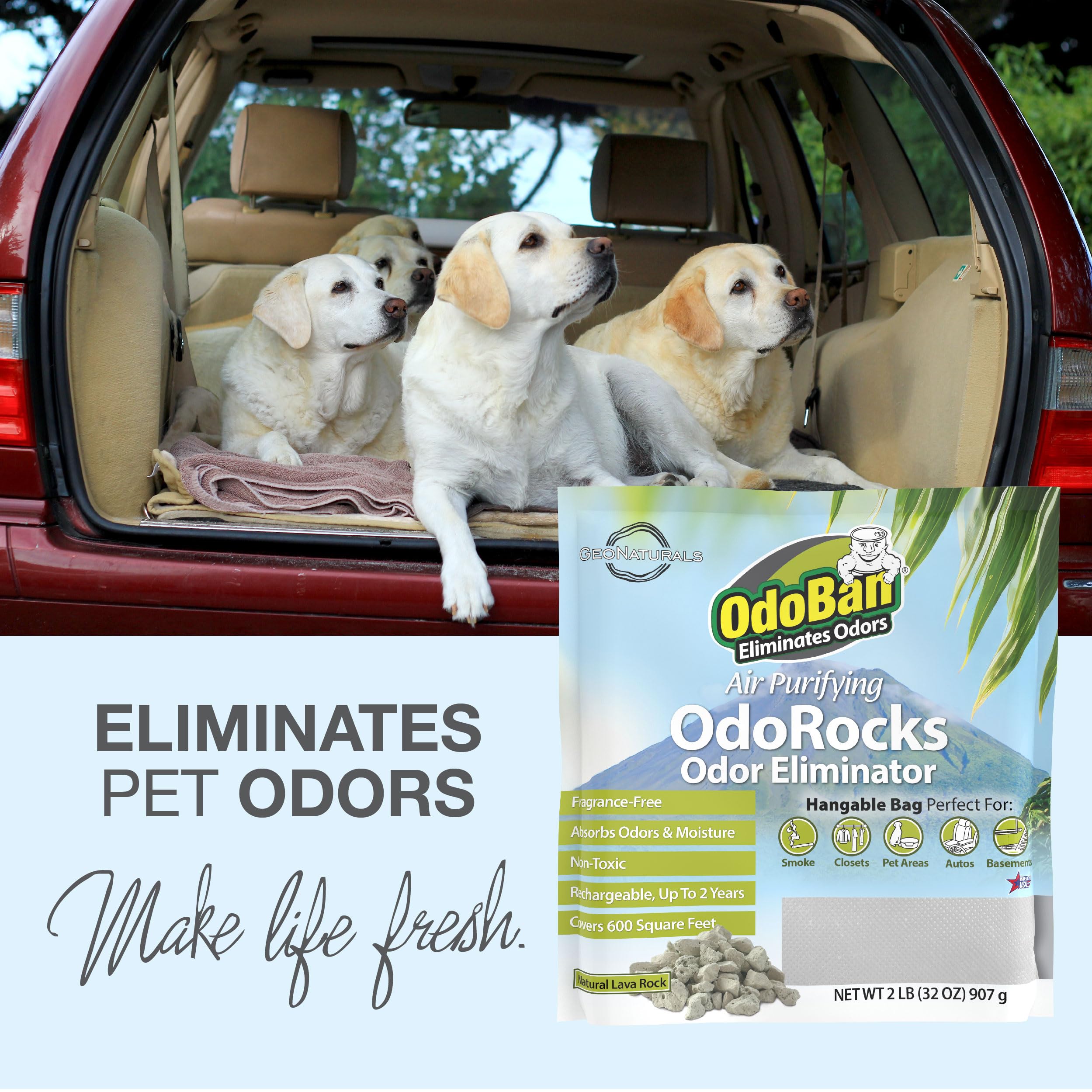 Outdoor sunlight recharge of OdoBan OdoRocks illustrating reactivation.