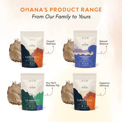 Ohana Cordyceps powder in tea for daily ritual.