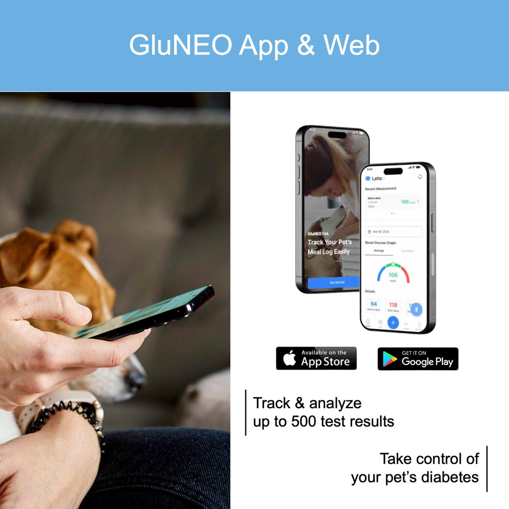 OHC GluNEO Pet at-home testing setup for convenient monitoring