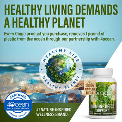 Irish sea moss cluster suggesting prebiotic fiber and gut health.