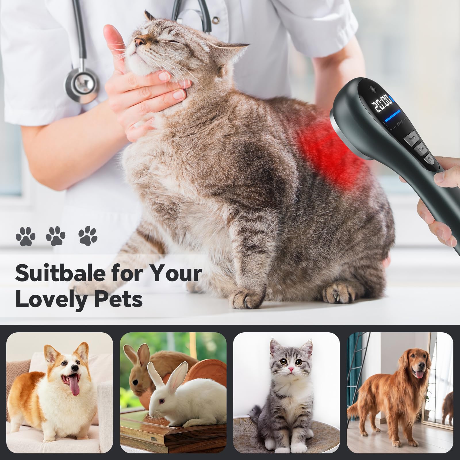 Okyna pet-friendly red light device suitable for dogs and cats