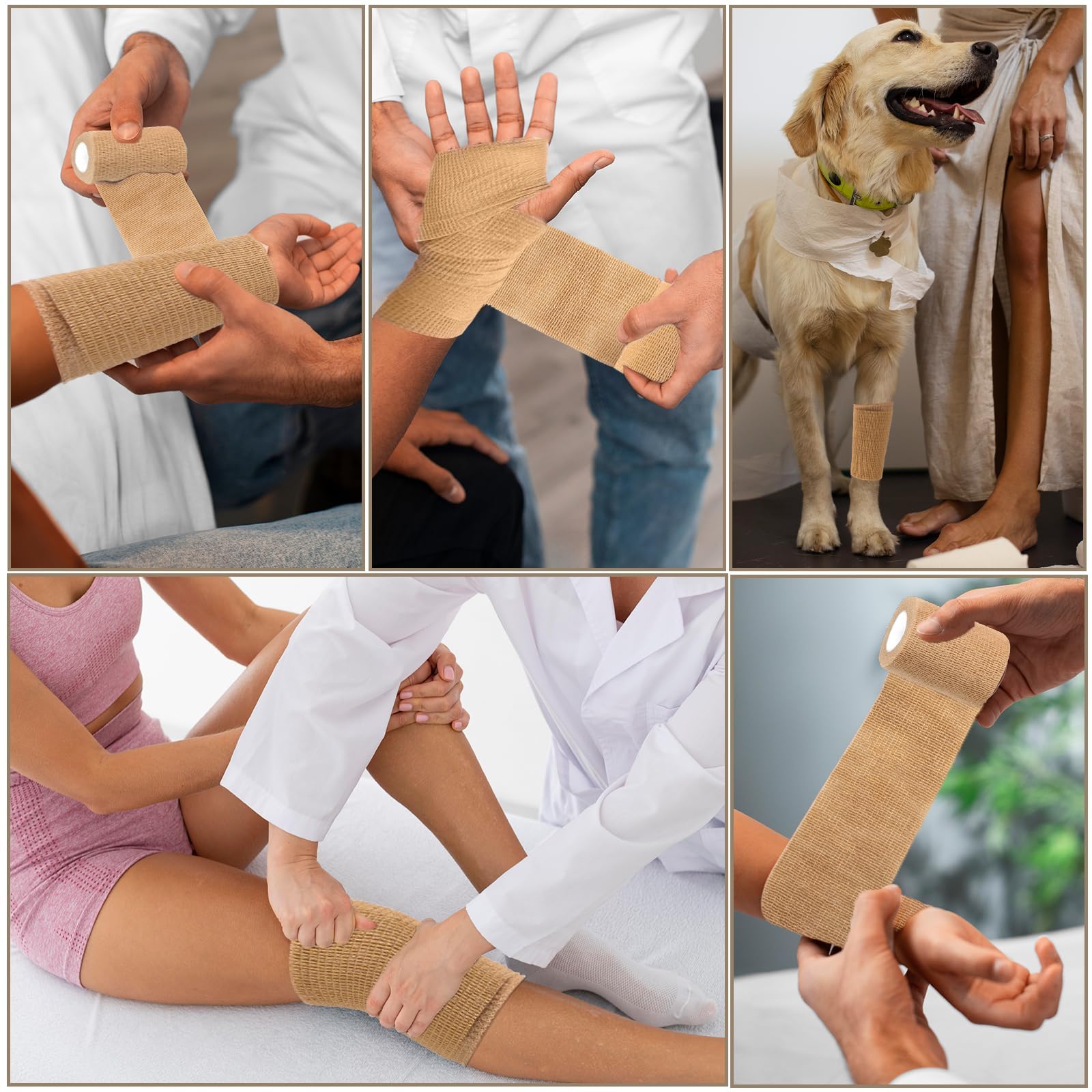 Oleitodh pet wrap securing a dog's leg with gentle hold