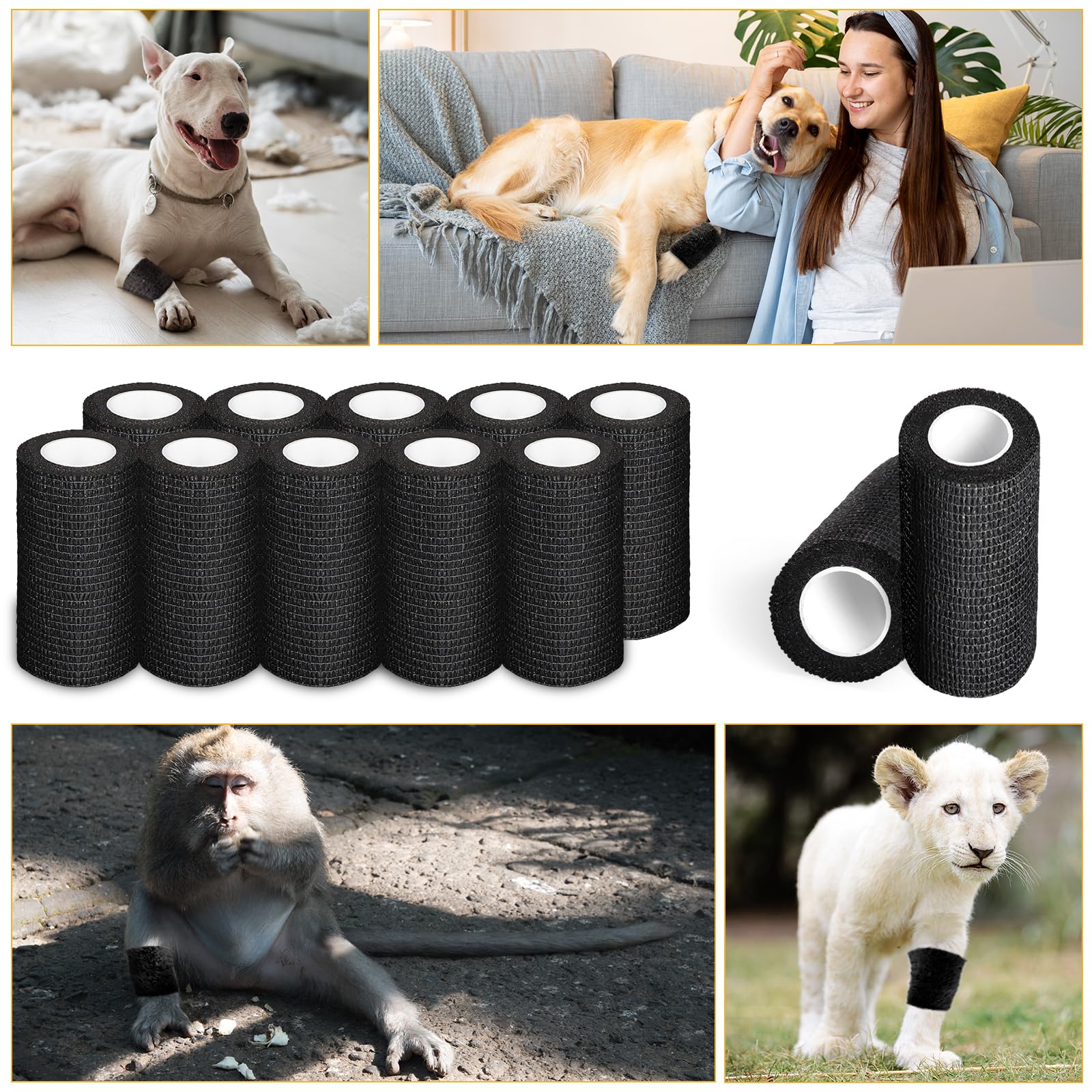 Oleitodh 54-pack packaging designed for portable use and storage